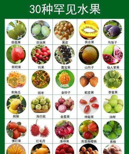 进口水果名字