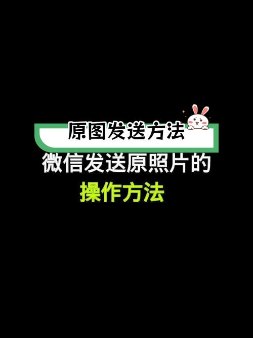 手机照片如何发送原图