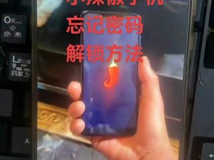 小辣椒密码