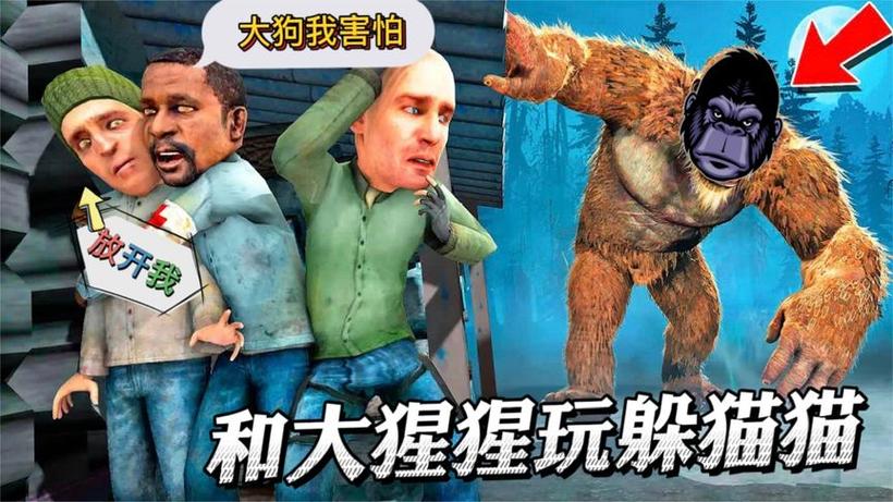 大狗躲猫猫三人组
