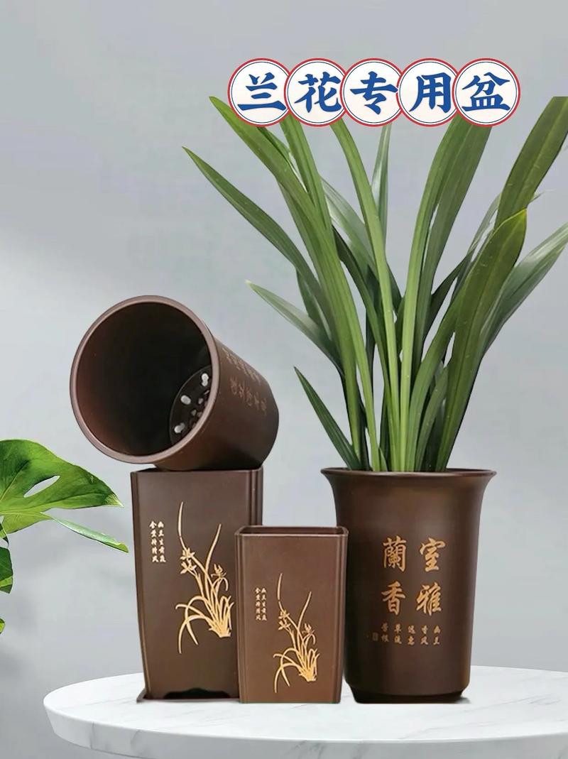 兰花盆缩略图