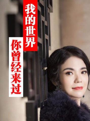 我的世界曾经来过这首歌什么意思