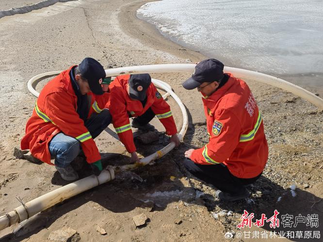 甘肃生态环境网站官网首页