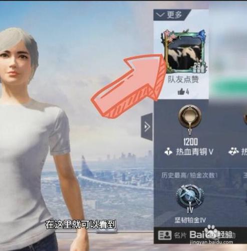 和平精英的头像框在哪换