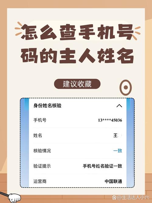 短号查询网截图