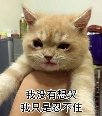 韩剧《我忍不了了》完整版在线观看