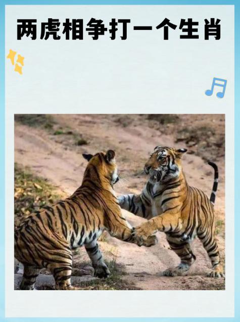 两只虎是什么生肖