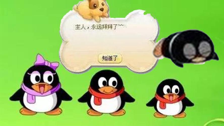 qq企鹅宠物怎么不见了