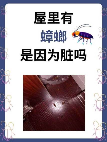 出租房有蟑螂怎么办
