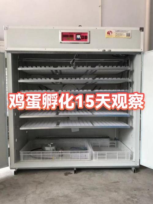 怎么判断孵的蛋还活着