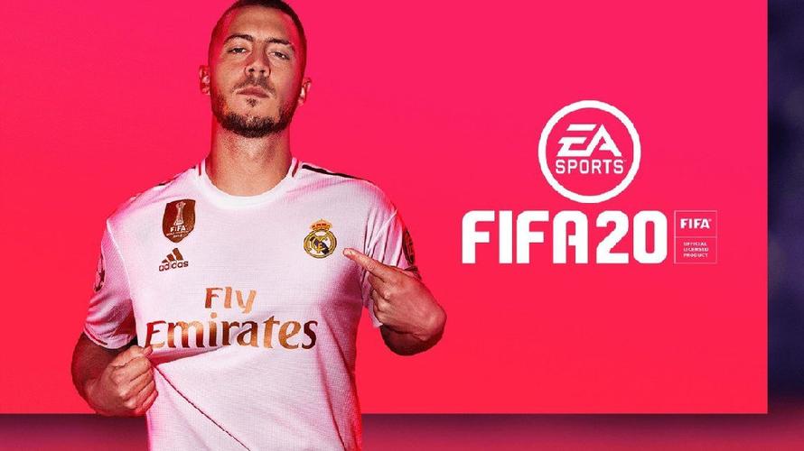 fifa20多少g