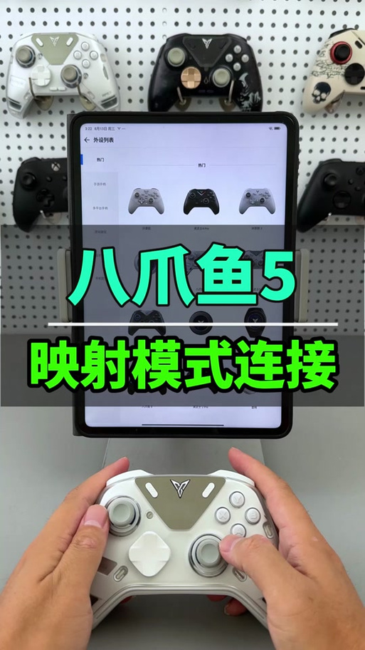 飞智八爪鱼官网