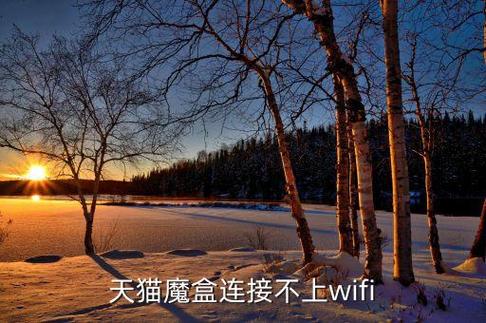 天猫魔盒连上wifi但无法上网