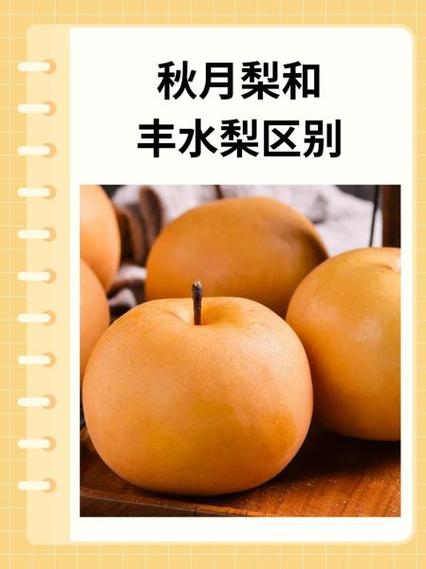 秋月梨和鸭梨哪个好