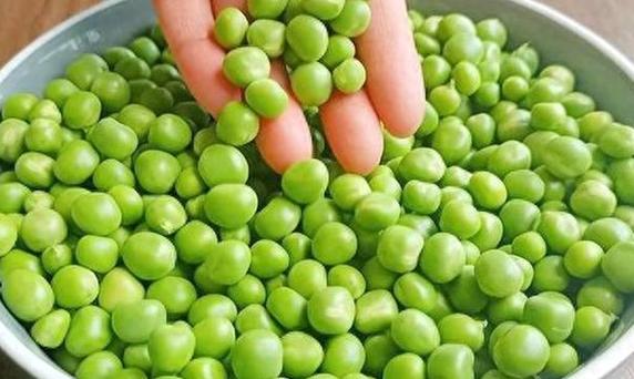 豌豆保存是生的好还是熟的好