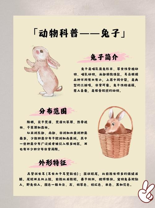 兔子称呼的由来