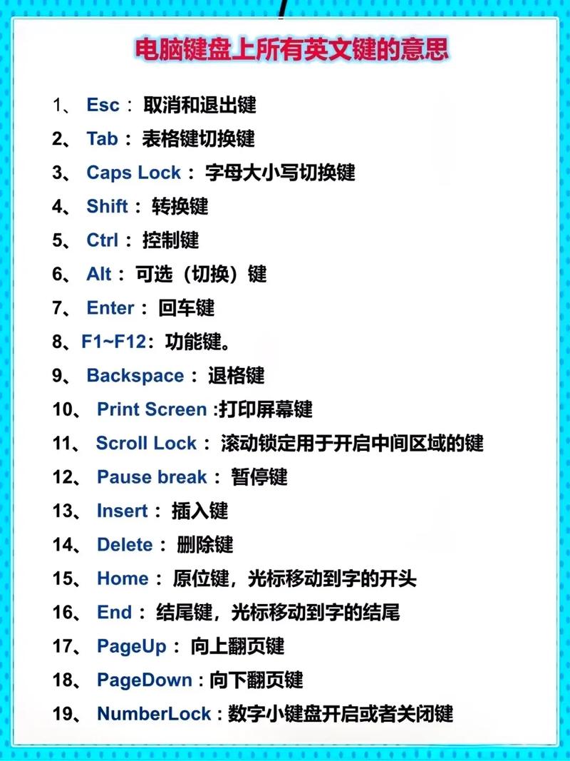 微信翻译英文功能在哪里