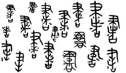 金文是什么