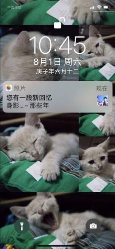 香芋星球app怎么样