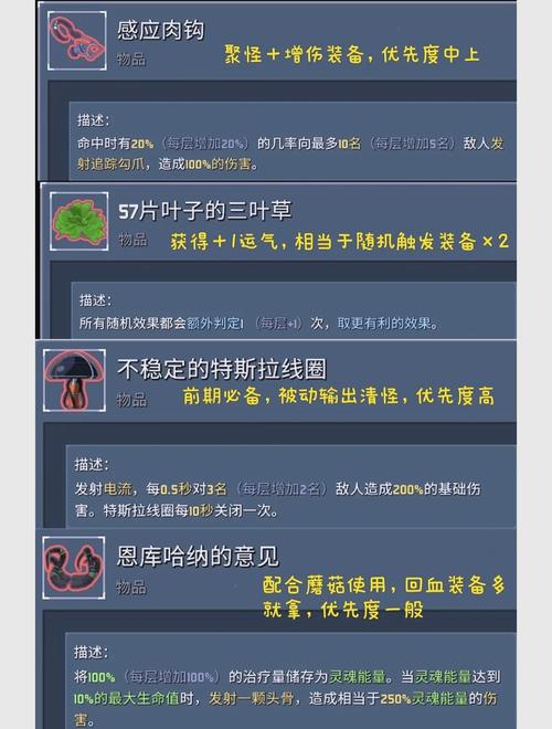 雨中冒险2道具图鉴2021