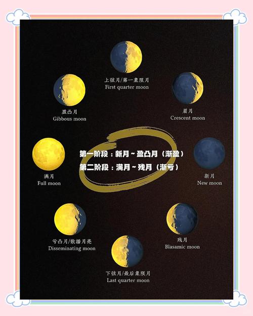 9个月亮宠哪个最好