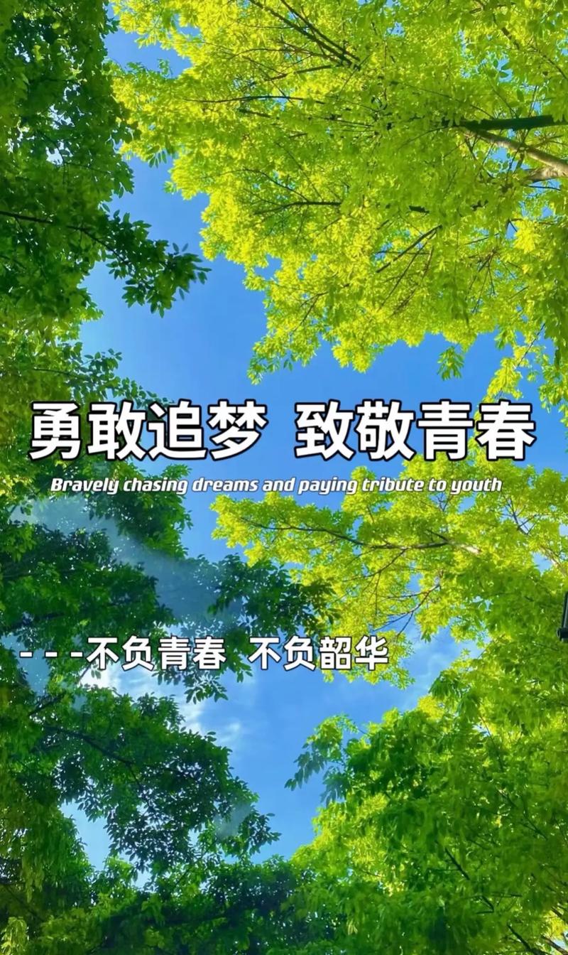 青春与梦想作文初2