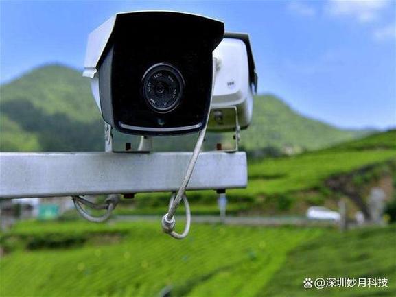 摄像头连不上网络游戏截图