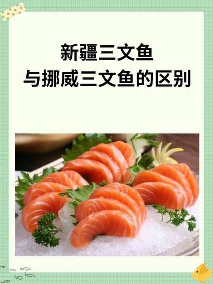 三文鱼的故事