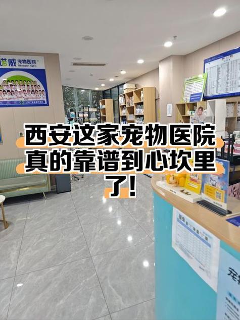 专治鸟类的宠物医院