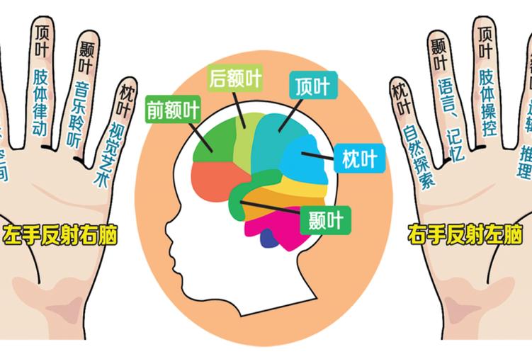天赋测评 指纹