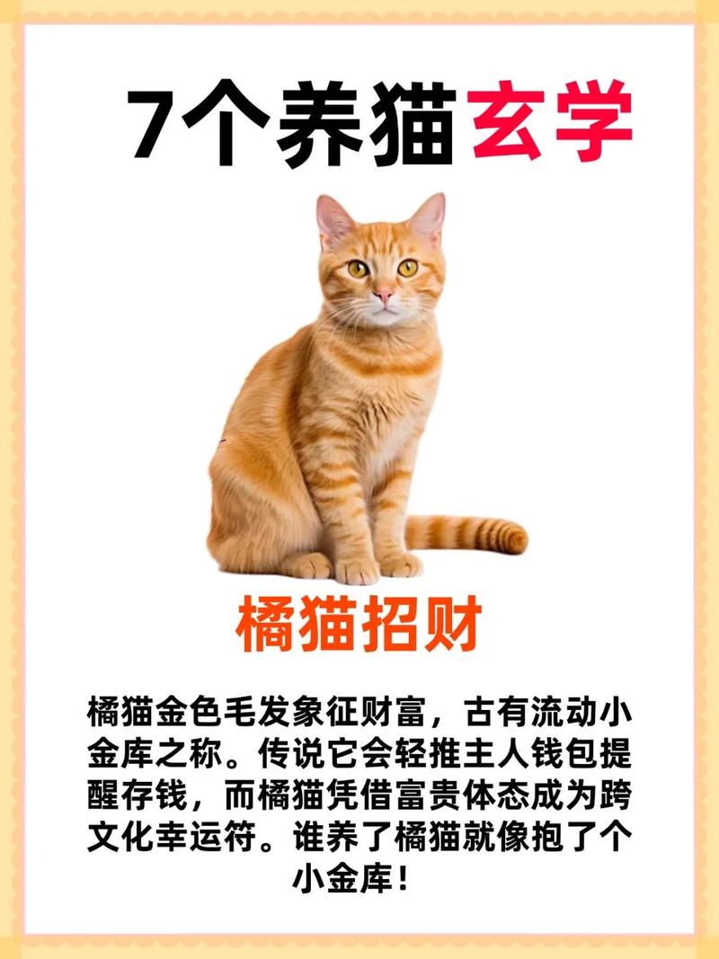 家里放招财猫的害处