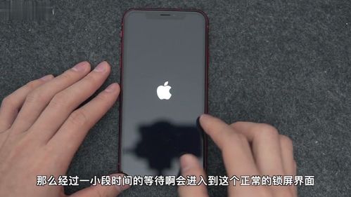 苹果xr怎么进入恢复模式截图