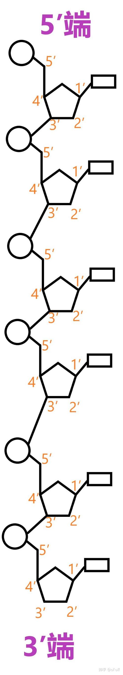 3*5表示什么意思