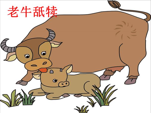老牛和小牛成语