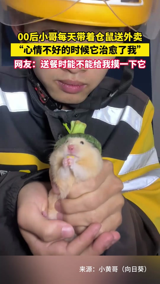 抖音上有个仓鼠的男孩