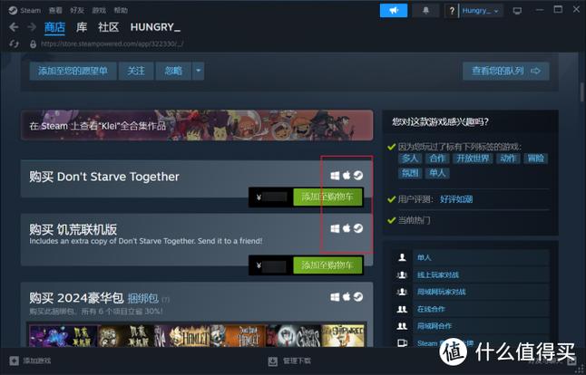 steam饥荒客机怎么降延迟