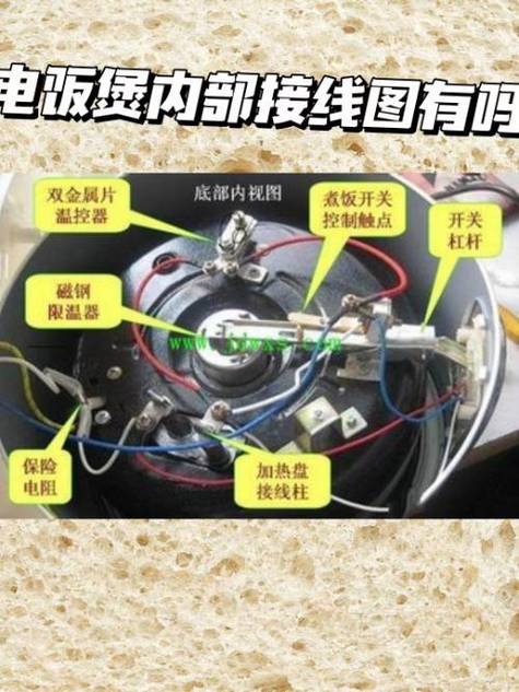 电锅接线示意图