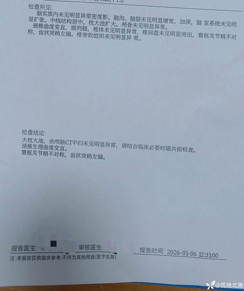 中兴手机黑屏但会震动