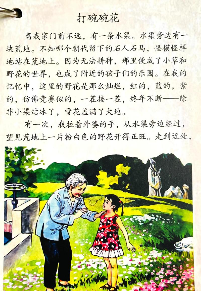 《小镇飞花》阅读