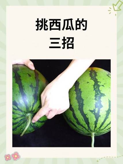 挑西瓜有哪三招