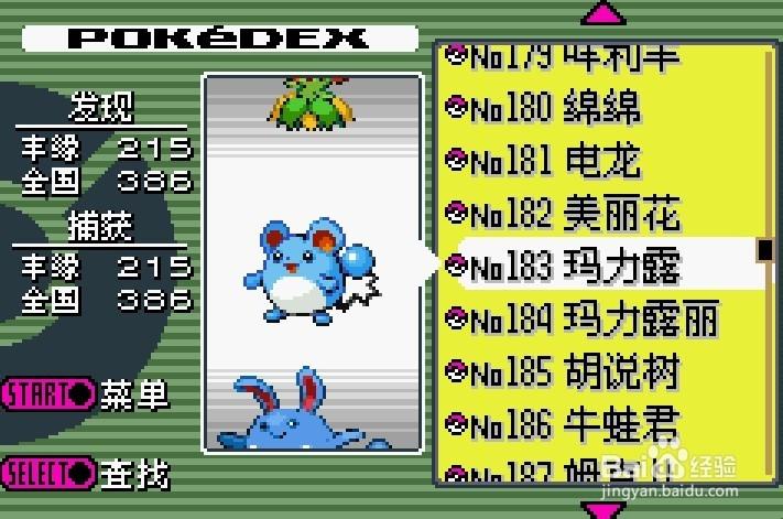 究极绿宝石5.5玛力露丽