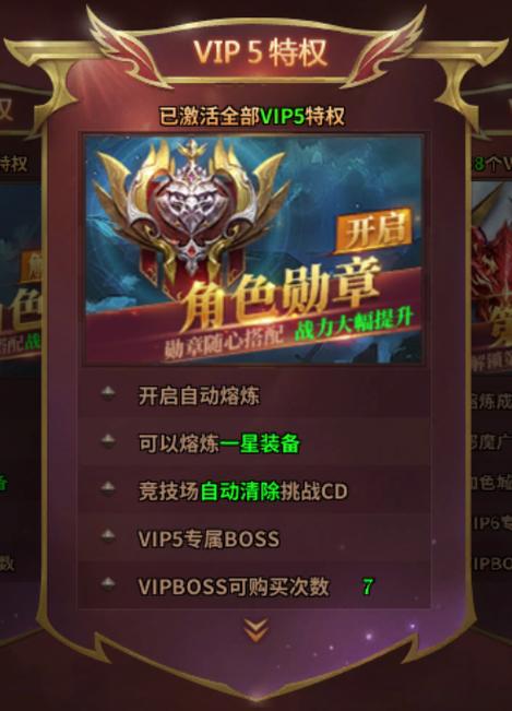 vip至尊版美化包