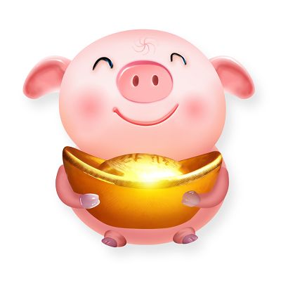 小猪元宝的日常生活
