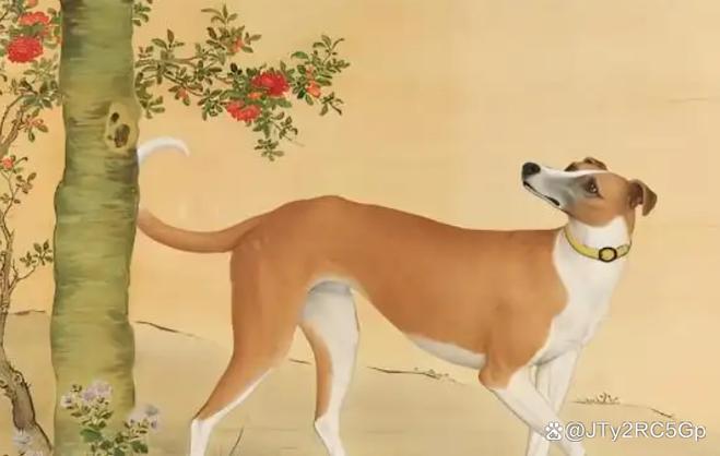 宠物死了投胎会告诉主人吗