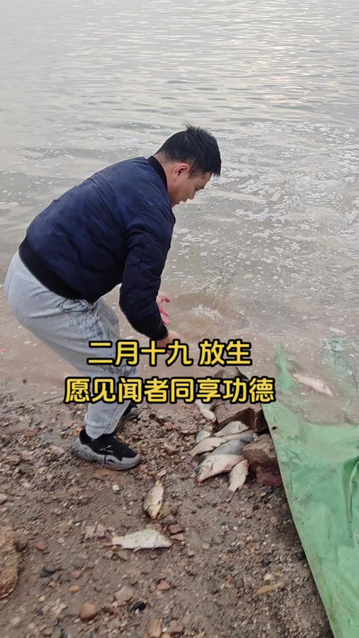 放生什么时间放最好