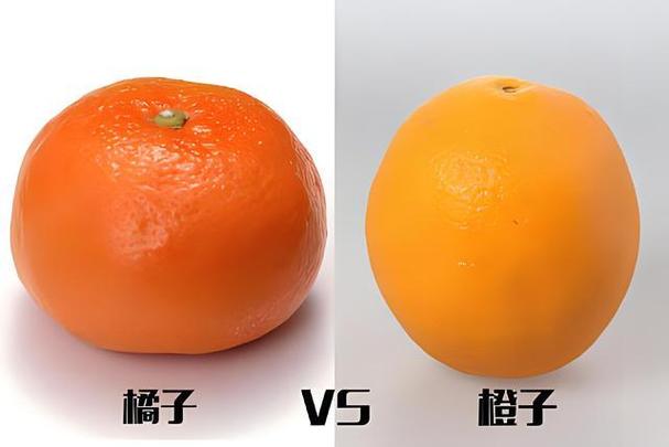 橘子和橙子英语一样吗