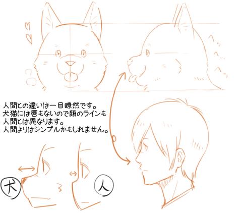 furry向漫画的更新时间
