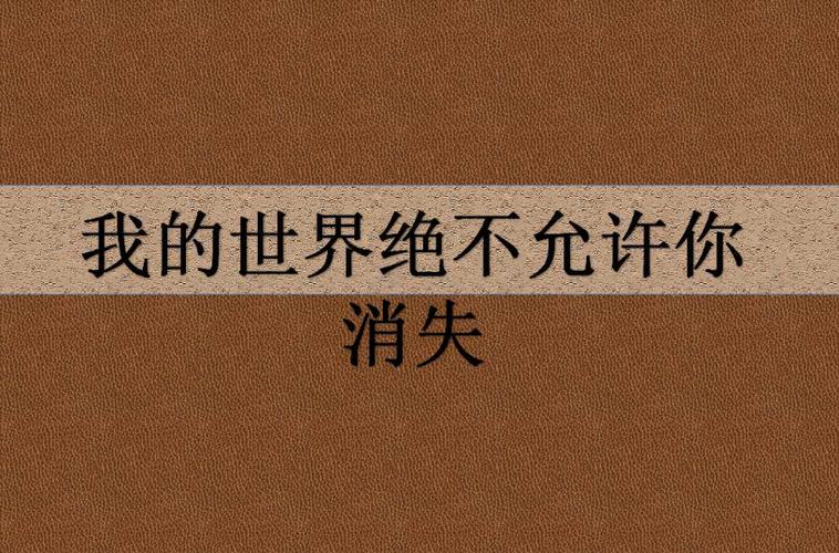 我的世界不允许你的消失