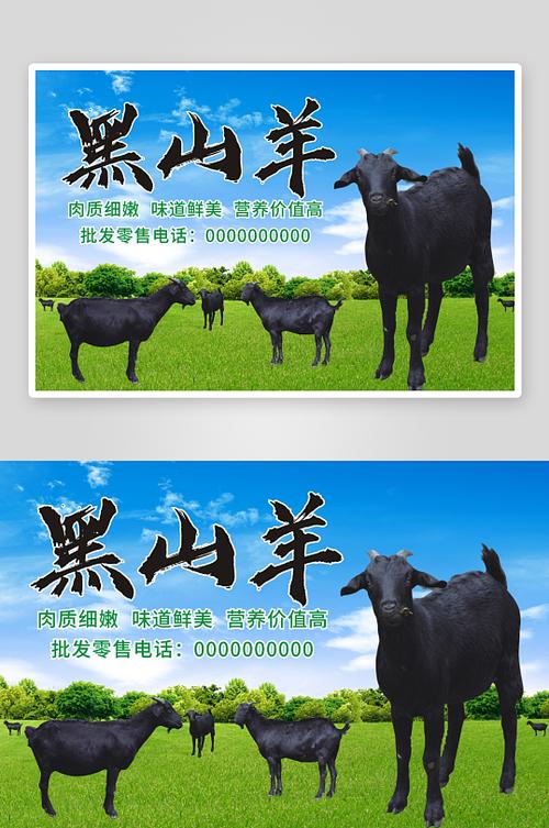卖自己山羊广告词