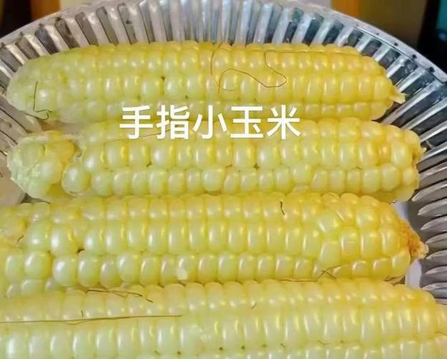 买拇指玉米的十大忠告